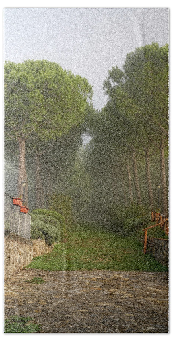 Jenny Rainbow.evgeniya Vlasova Garden Photography Bath Towel featuring the photograph Pine Trees Alley in Fog at Tuscany Rural Villa 1 by Jenny Rainbow