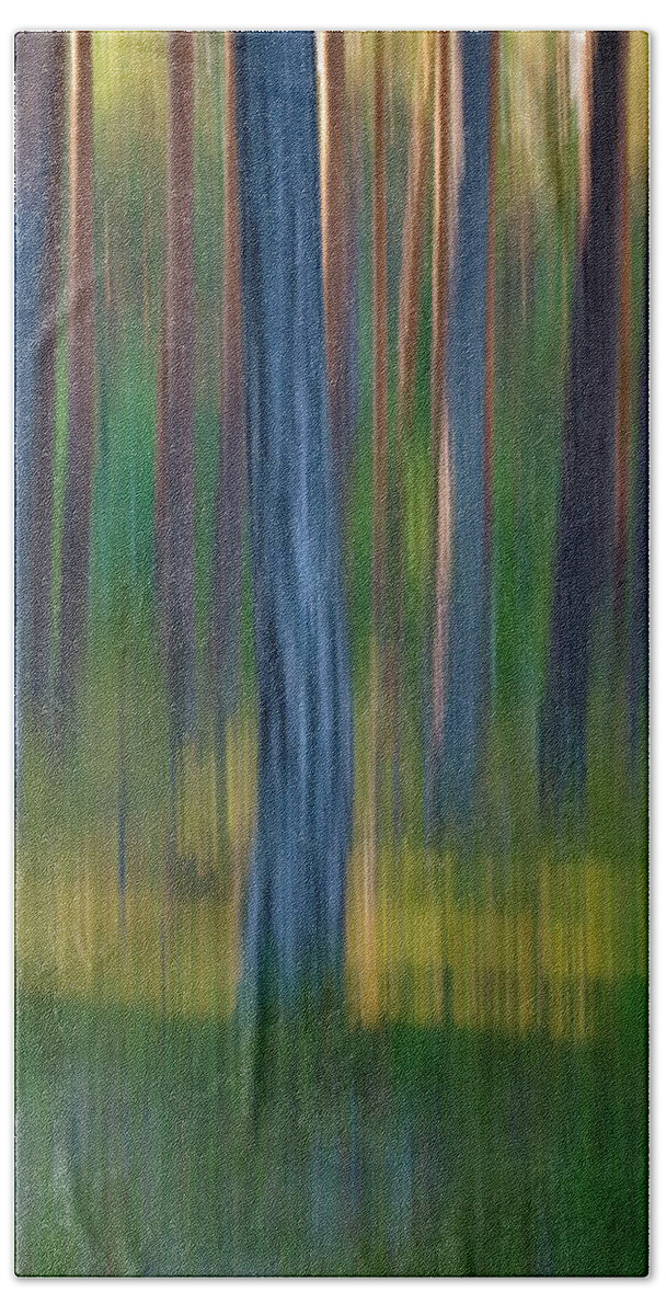 Pinus Bath Towel featuring the photograph Pine trunks in summer - motion blur by Ulrich Kunst And Bettina Scheidulin