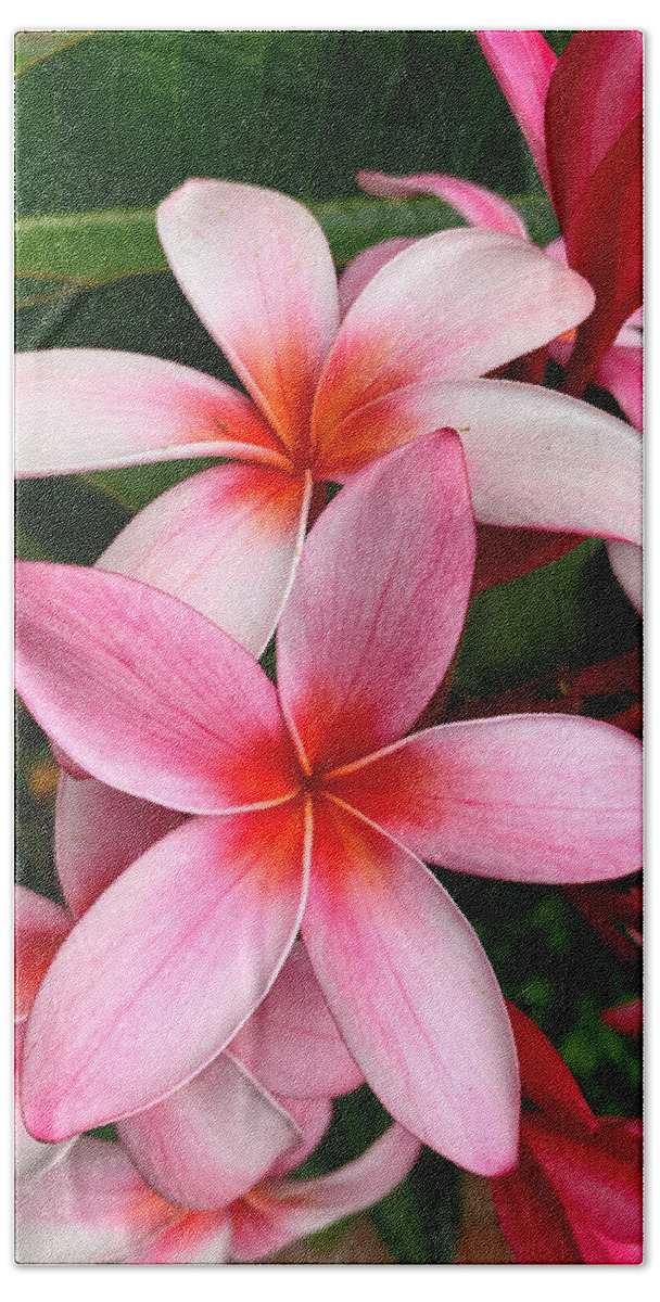 Plumeria Bath Towel featuring the photograph Pink And Red Plumeria by Brian Eberly