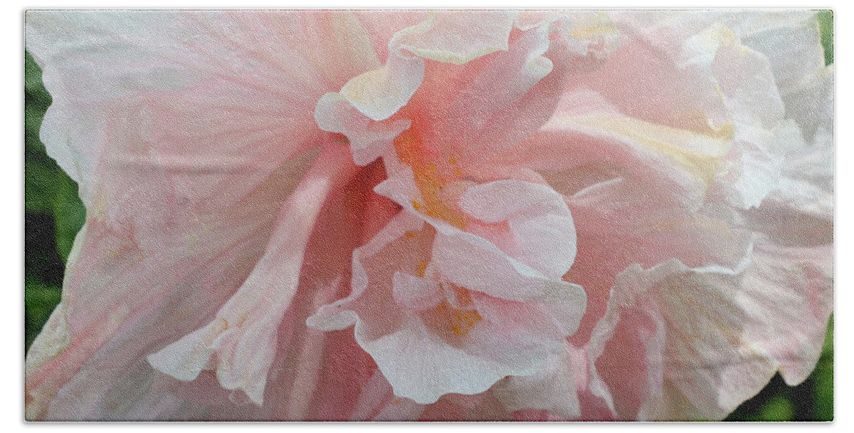 Hibiscus Hand Towel featuring the photograph Pink Chiffon by Tony Spencer