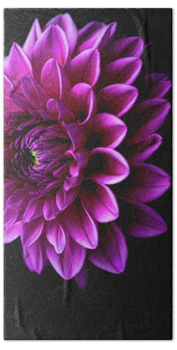 Art Hand Towel featuring the photograph Pink Dahlia V by Joan Han