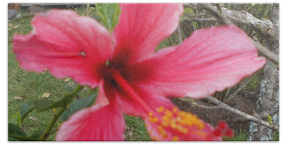 Pink Bath Towel featuring the photograph Pink Hibiscus by Nancy Graham