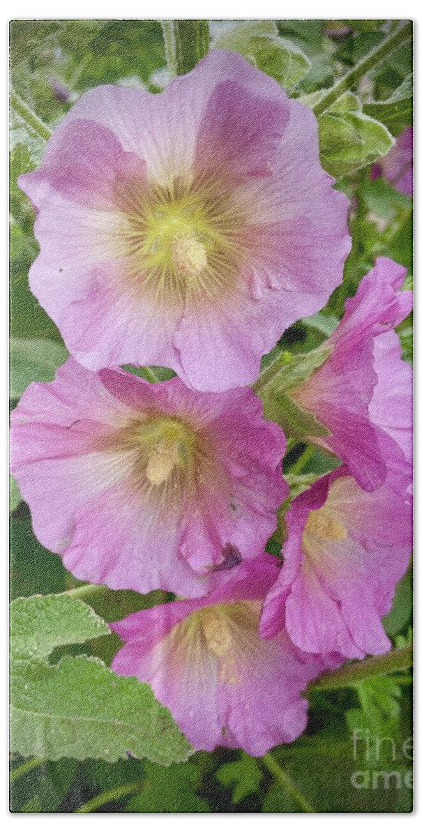 Hollyhocks Bath Towel featuring the photograph Pink Hollyhocks with Soft Vignette by Carol Groenen