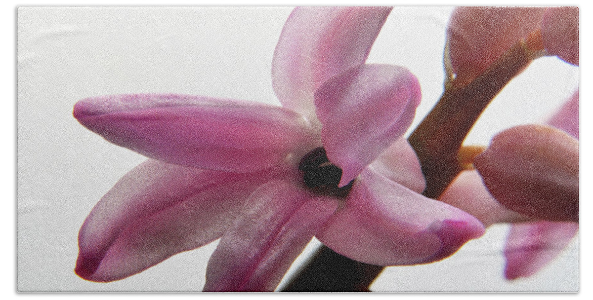Hyacinth Bath Towel featuring the photograph Pink Hyacinth. by Terence Davis
