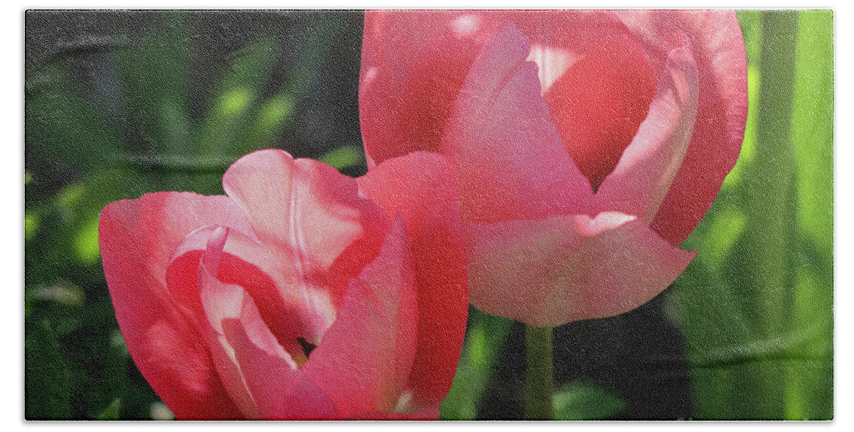 Tulip Hand Towel featuring the photograph Pink Invitation by D Lee