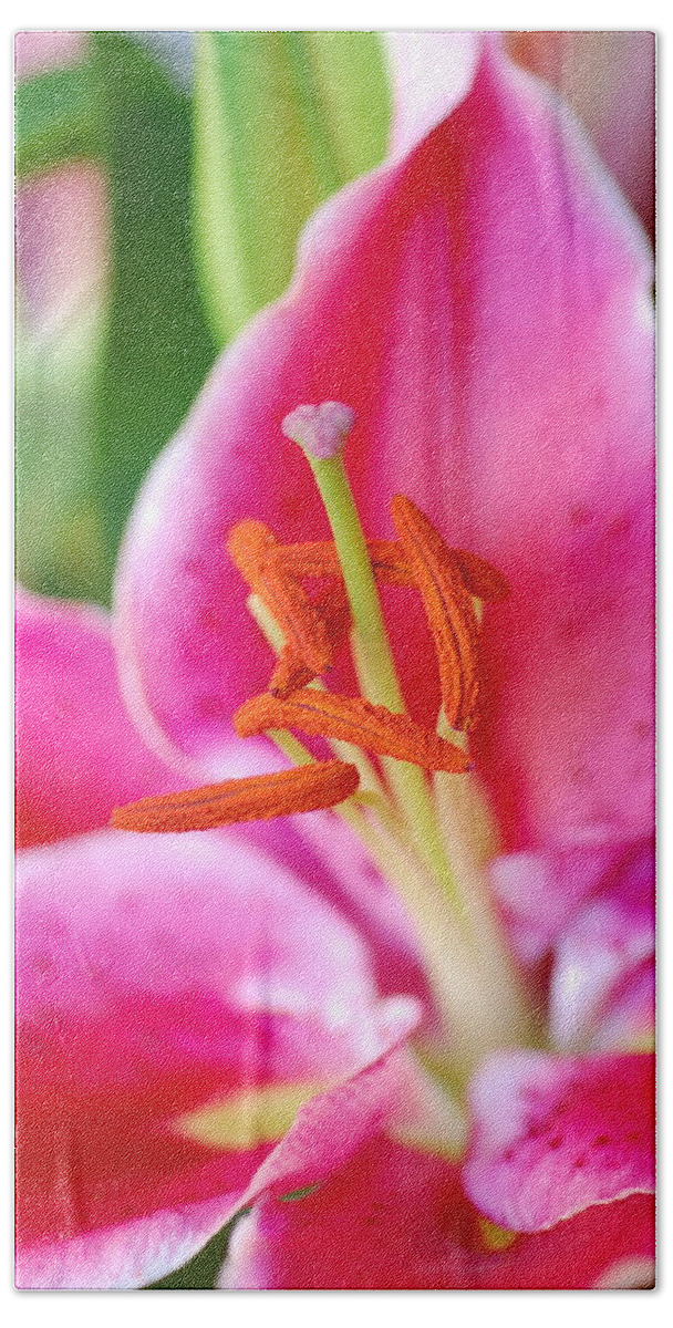 Lily Bath Towel featuring the photograph Pink Lily 1 by Amy Fose