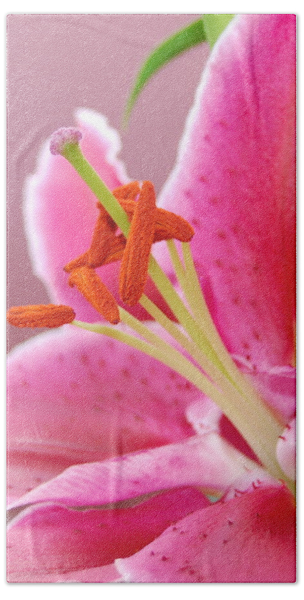 Lily Bath Towel featuring the photograph Pink Lily 5 by Amy Fose