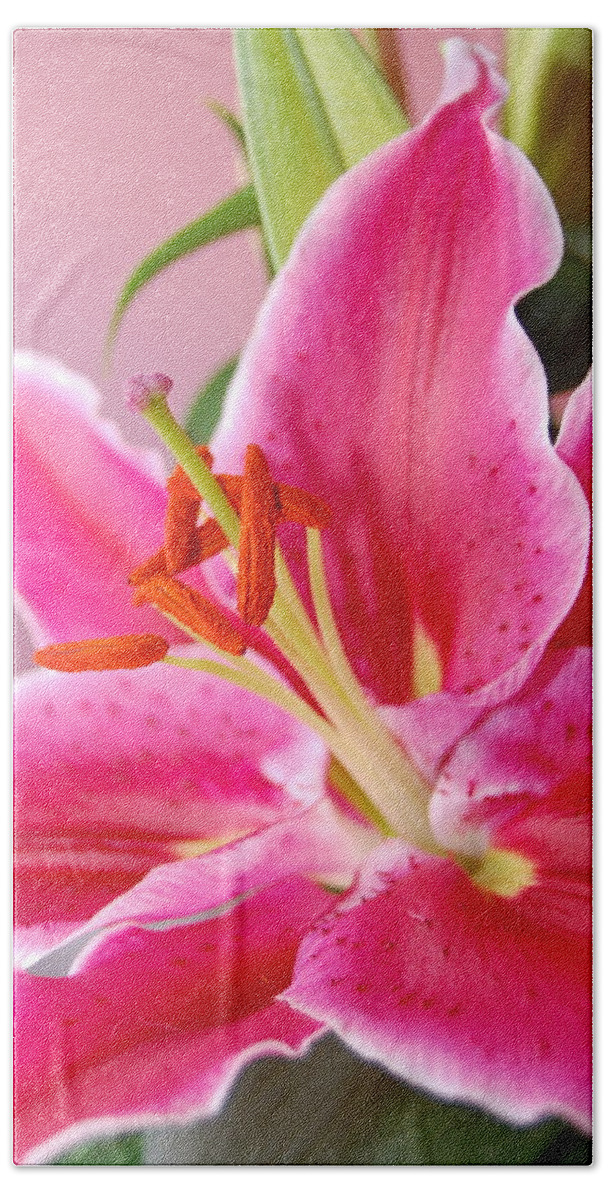 Lily Bath Towel featuring the photograph Pink Lily 7 by Amy Fose