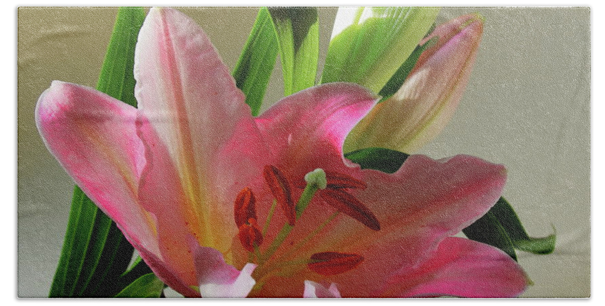Lily Bath Towel featuring the photograph Pink Lily with Buds by Jeff Townsend