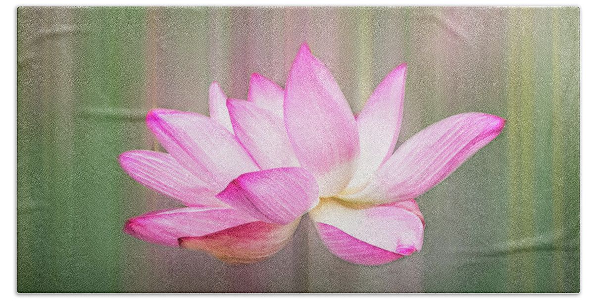 Lotus Bath Towel featuring the photograph Pink Lotus Flower by Elvira Peretsman