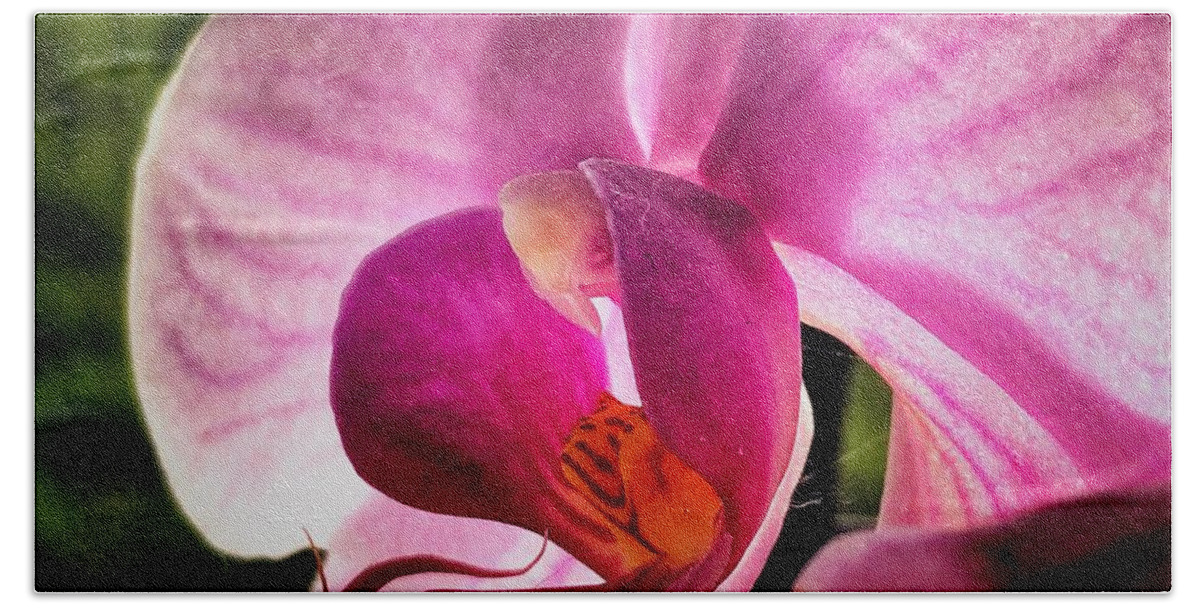 Orchid Bath Towel featuring the photograph Pink Orchid by Mark Egerton
