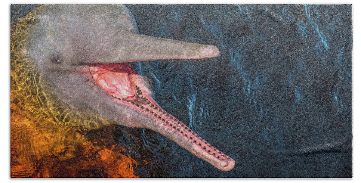 Dolphin Bath Towel featuring the photograph Pink River Dolphin by Linda Villers