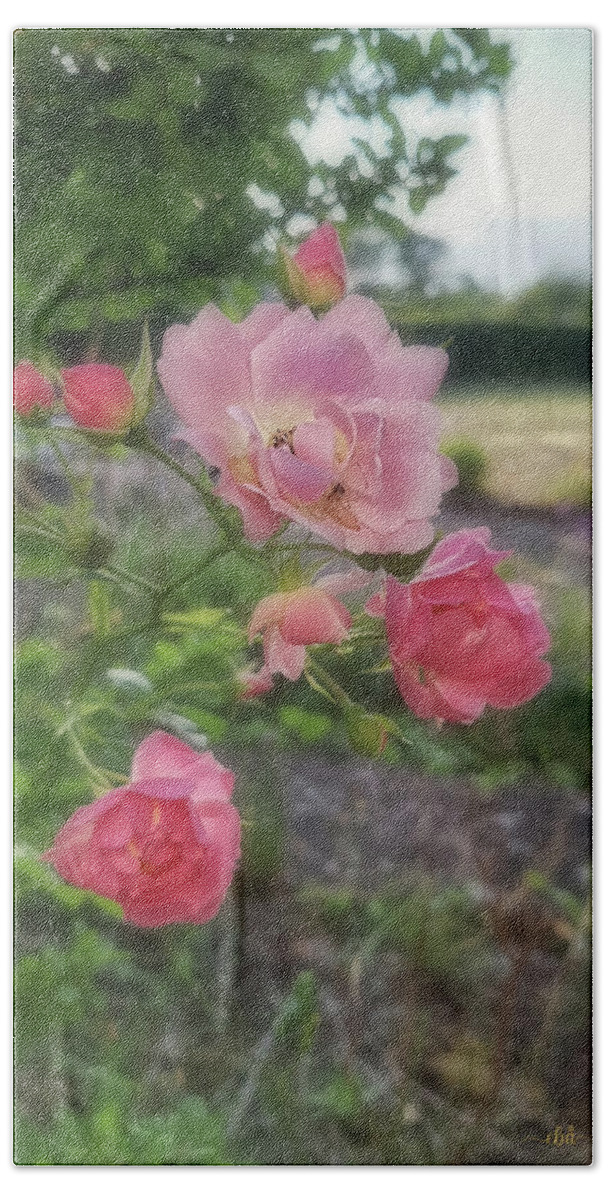 Pink Bath Towel featuring the photograph Pink Rose and Spider by Elaine Berger