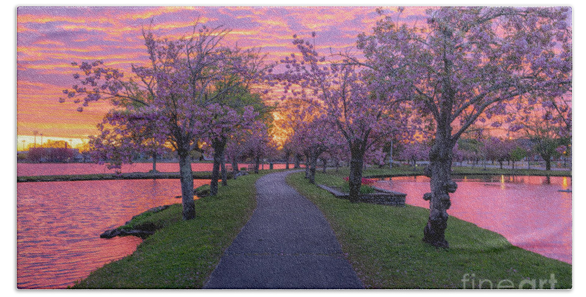 Dogwoods Bath Towel featuring the photograph Pink Sky Over Babylon by Sean Mills