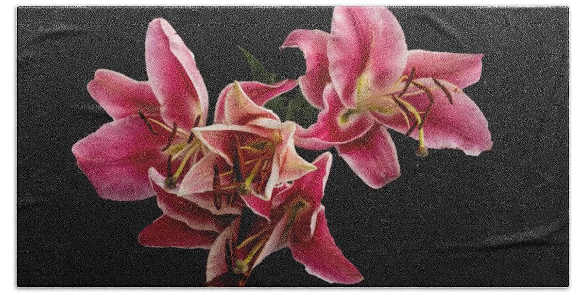 Lilly Bath Towel featuring the photograph Pink Stargazer Lillies by L Bosco