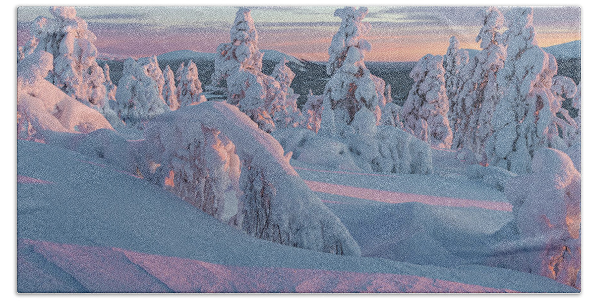 Winter Hand Towel featuring the photograph Pink sunrise in winter wonderland by Thomas Kast