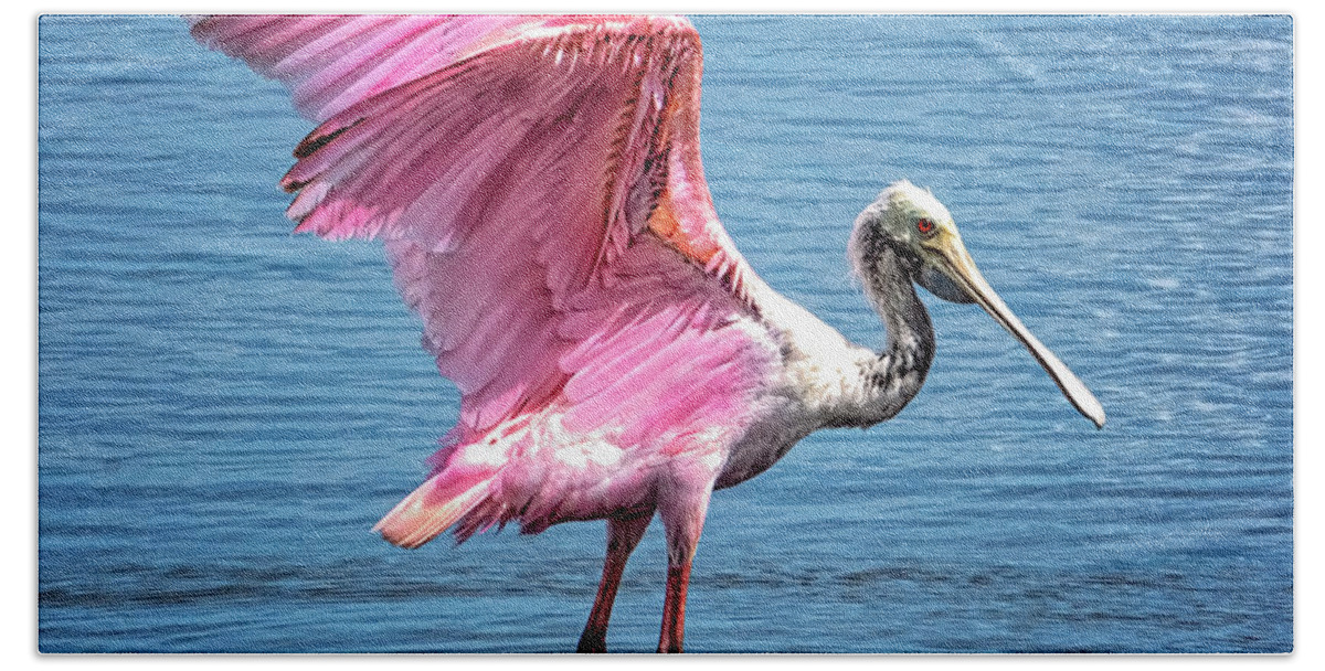 Yard Animals Bath Towel featuring the photograph Pink Wings by Tom Singleton