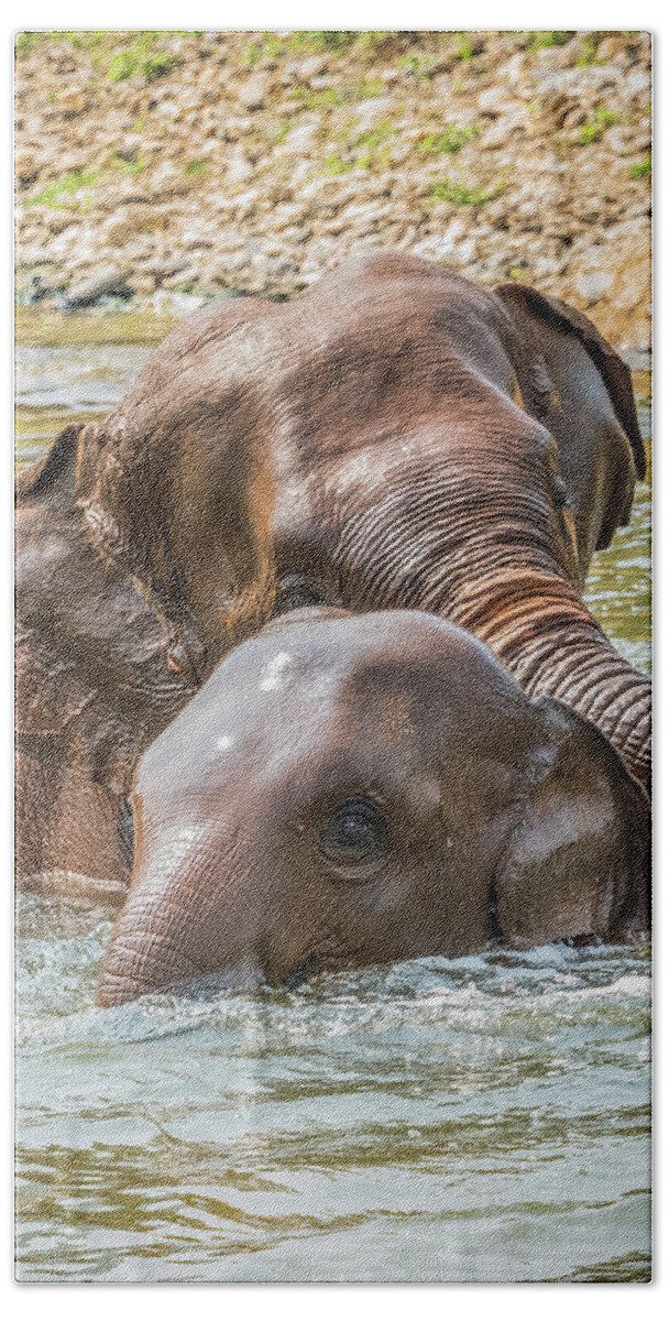 Elephant Photography Hand Towel featuring the photograph Playing In The River by Marla Brown