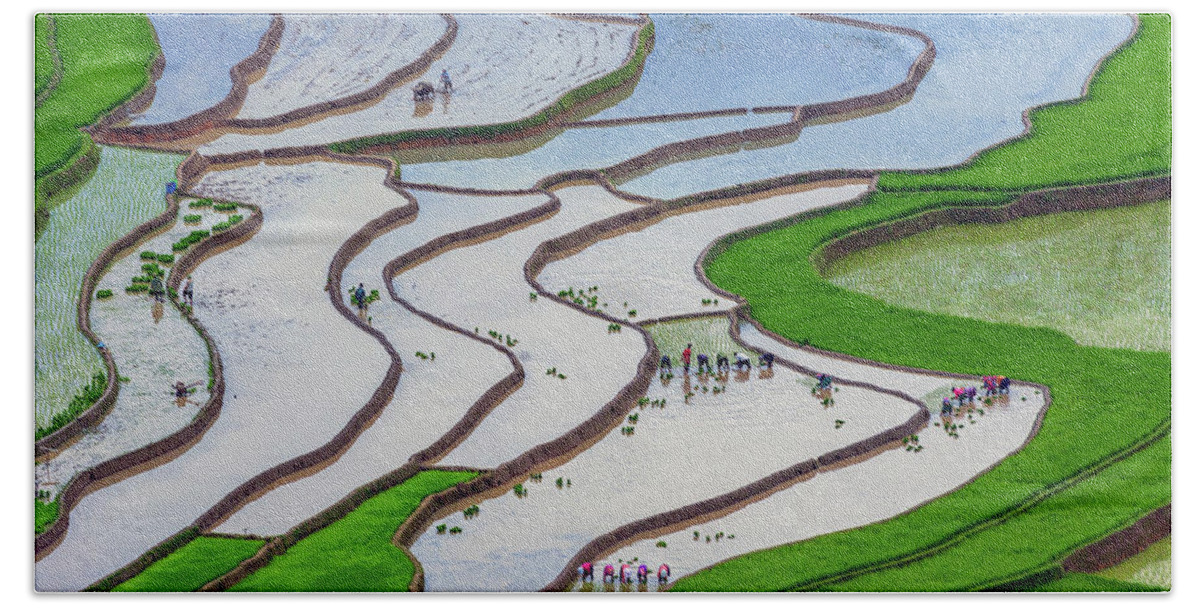 Incredible Bath Towel featuring the photograph plowing and planting in Mu Cang Chai rice terraces by Khanh Bui Phu