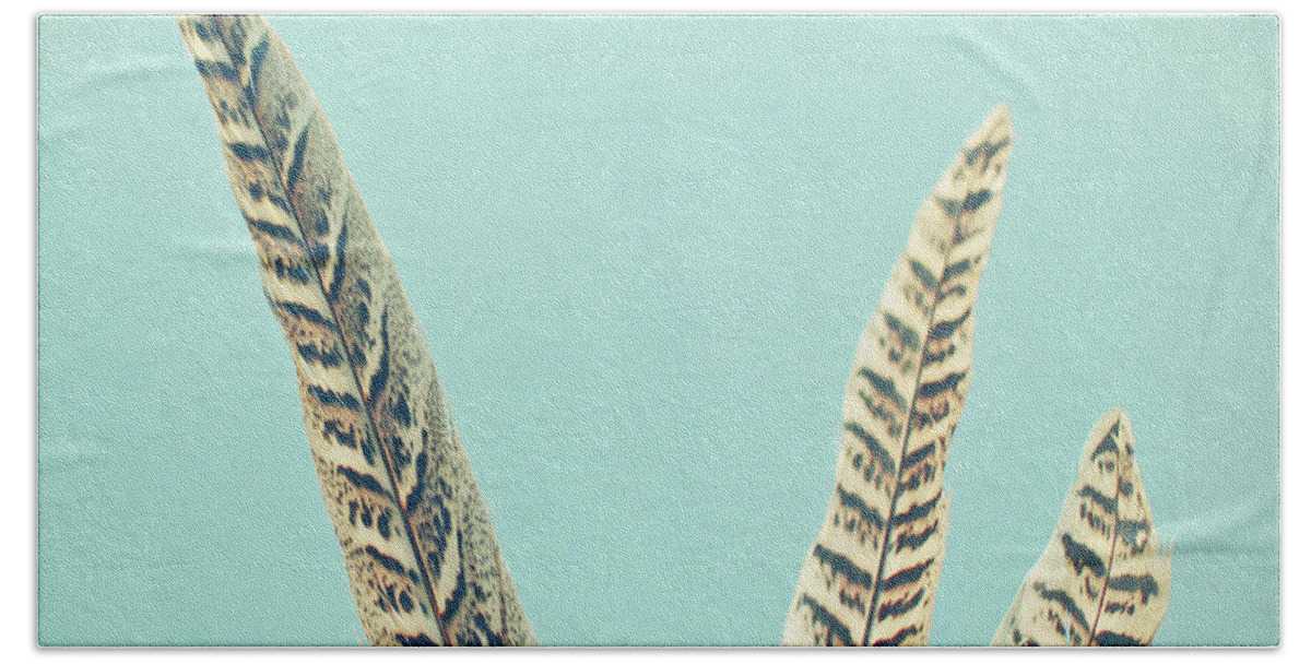 Feathers Bath Towel featuring the photograph Plumes by Cassia Beck