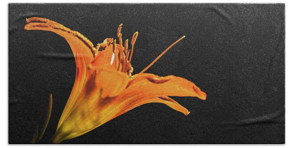 Lily Daylily Flower Sunlight Natural Nature Garden Blossoms Bloom Minimal Plant Springtime Hand Towel featuring the photograph Pocket full of sunshine by Bruce Carpenter