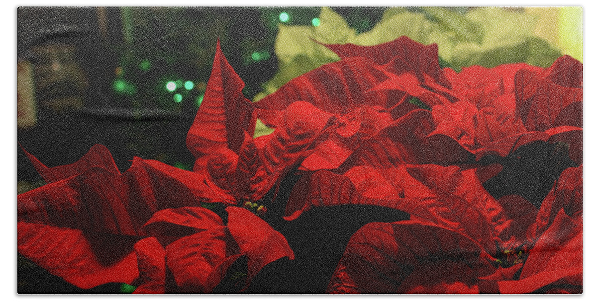 Holiday Hand Towel featuring the photograph Poinsettias in the House by David Kipp