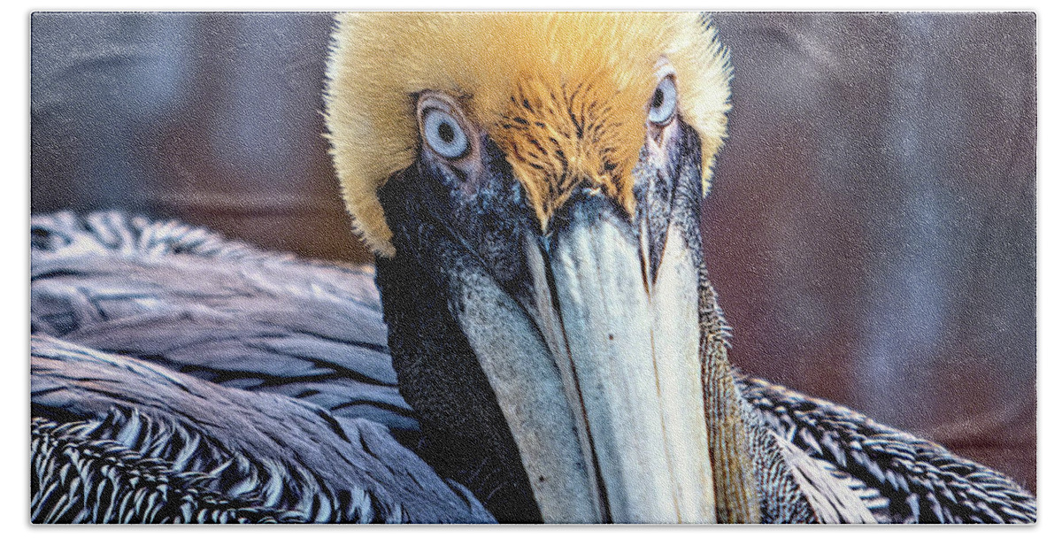 Pelican Hand Towel featuring the digital art Portrait of a Pelican by Linda Lee Hall