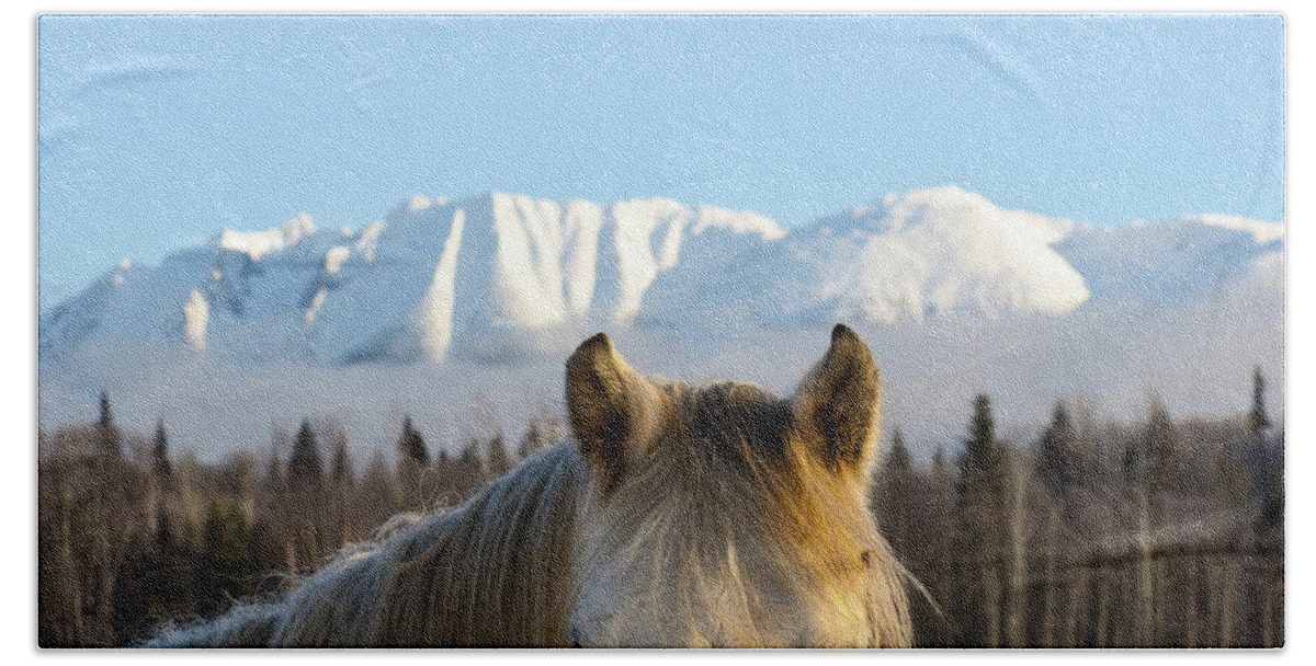 Winter Hand Towel featuring the photograph Power from the Mountain by Listen To Your Horse