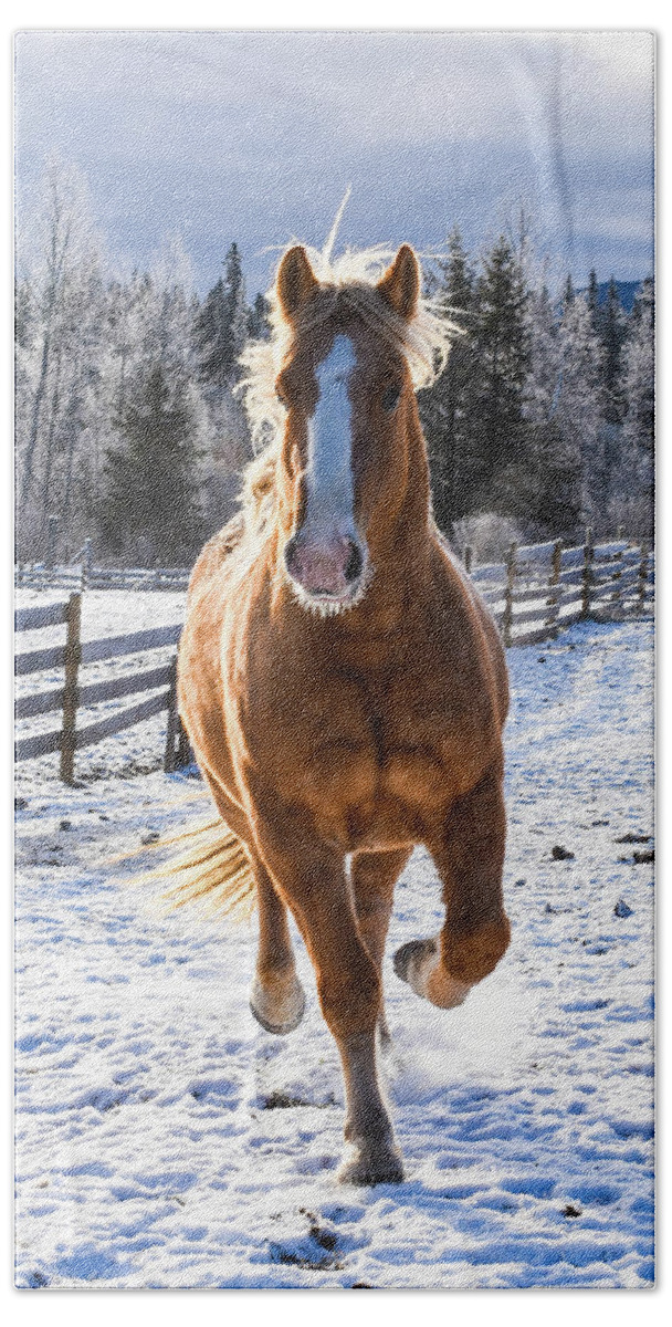 Winter Bath Towel featuring the photograph Power Steed by Listen To Your Horse