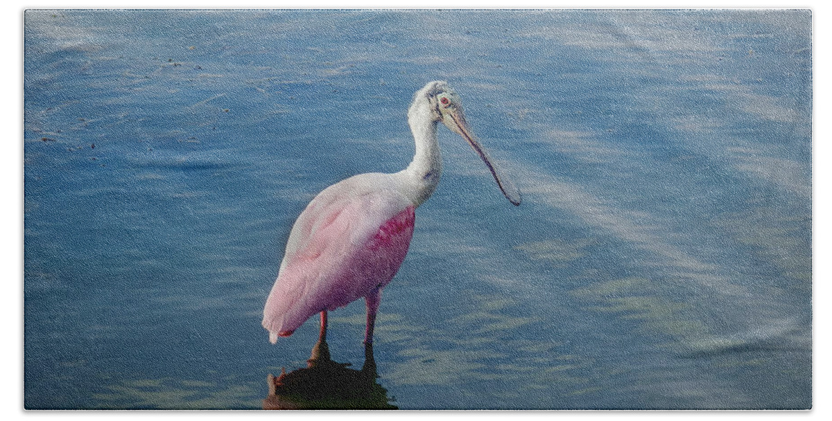 Spoonbill Bath Towel featuring the photograph Pretty in Pink by Laura Putman
