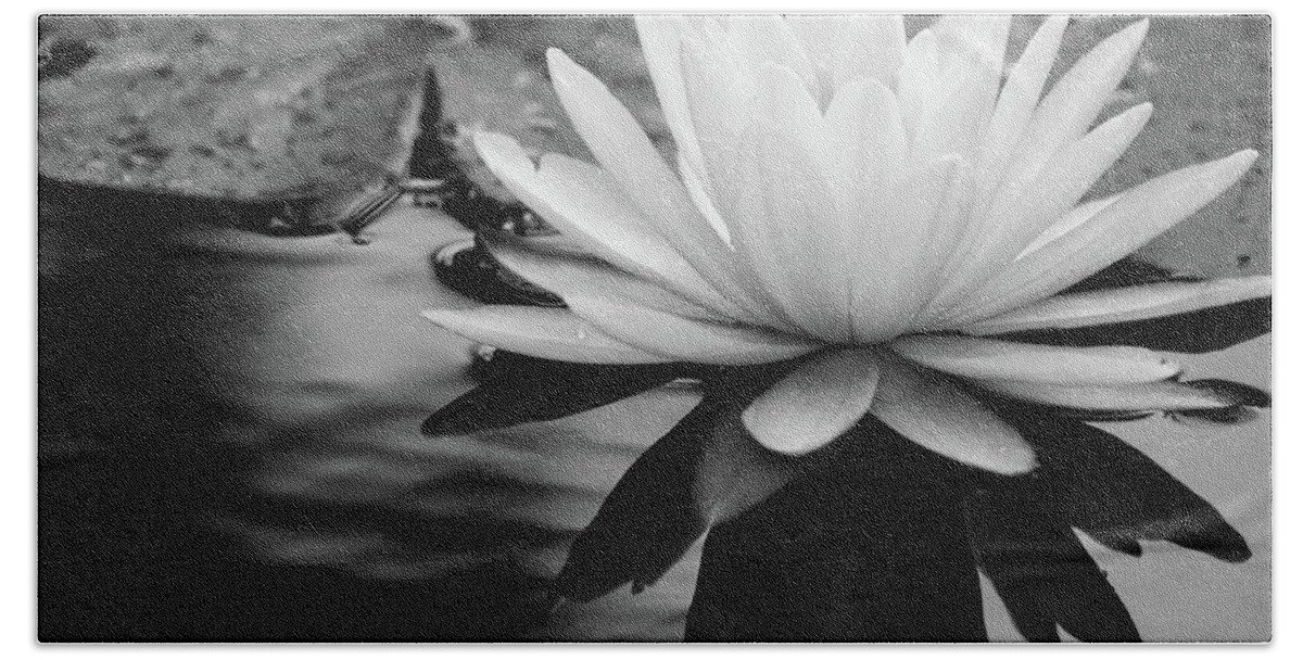 Water Lily Hand Towel featuring the photograph Promise of Purity by Mary Anne Delgado