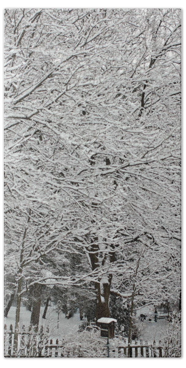 Landscape Photography Bath Towel featuring the photograph Purity of Snow - Square by Frank J Casella