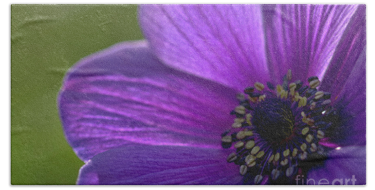Nature Hand Towel featuring the photograph Purple Anemone by Stephen Melia