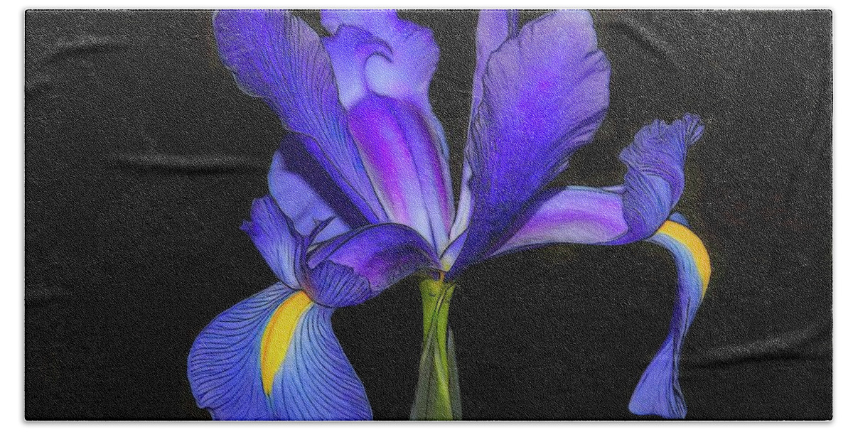 Irises Hand Towel featuring the photograph Purple Iris Flower Blossom by Scott Cameron