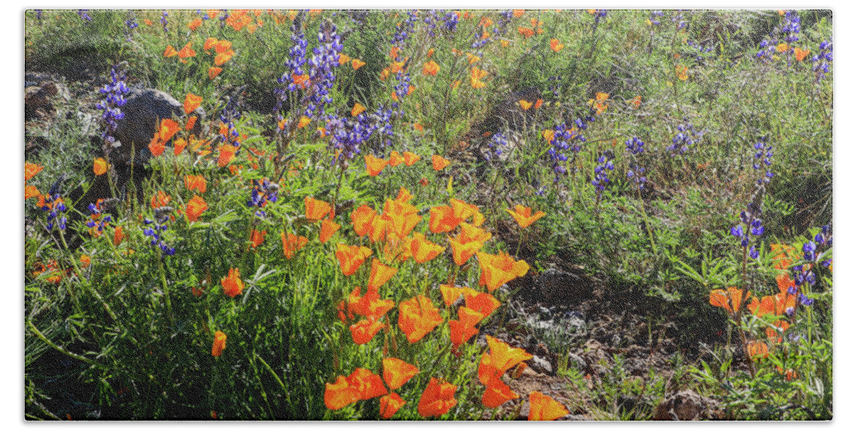 Arizona Hand Towel featuring the photograph Purple Lupine and Orange Poppies 4 by Dawn Richards