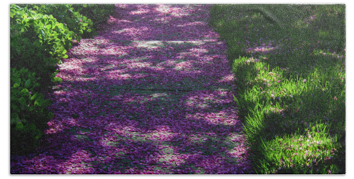 Crab Apple Tree Bath Towel featuring the photograph Purple Path by Rich Clewell