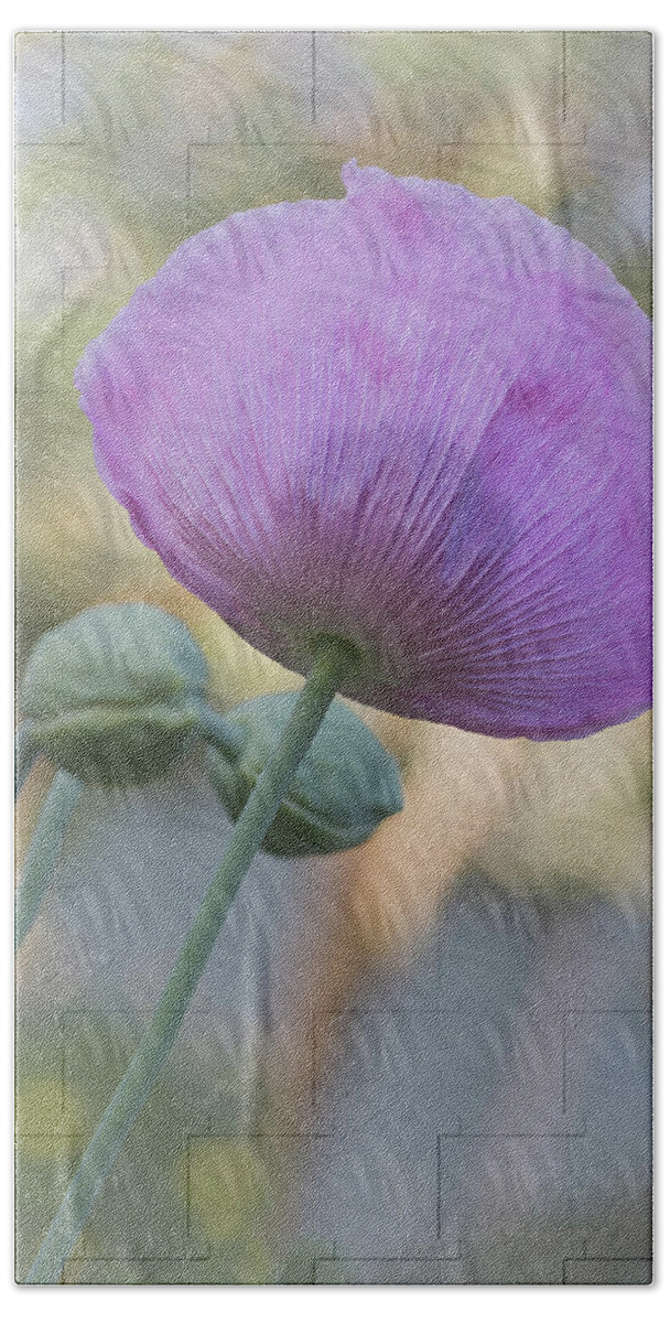 Flowers Bath Towel featuring the photograph Purple Poppy by Elaine Teague