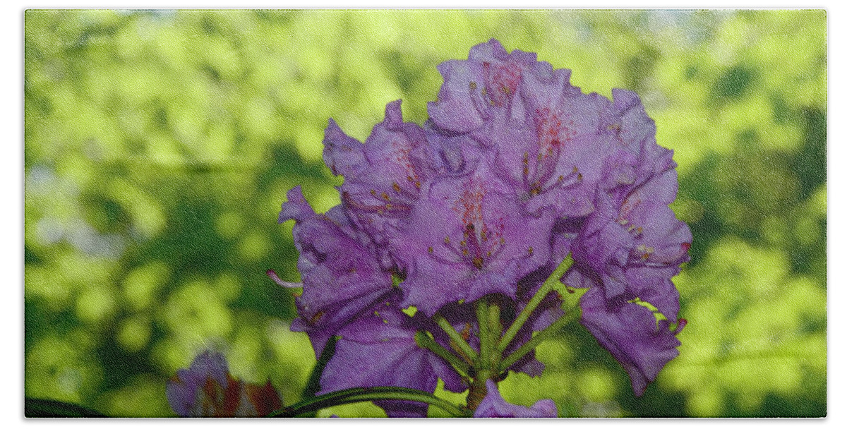 Purple Rhododendron Bath Towel featuring the photograph Purple Rhododendron 2 by Raymond Salani III