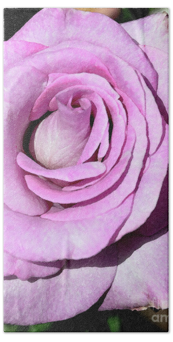 Botanical Bath Towel featuring the digital art Purple Rose Bloom by Kirt Tisdale