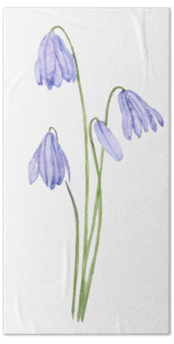 Siberian Squill Bath Towel featuring the painting Purple Scilla Siberica Watercolor Flowers by Color Color