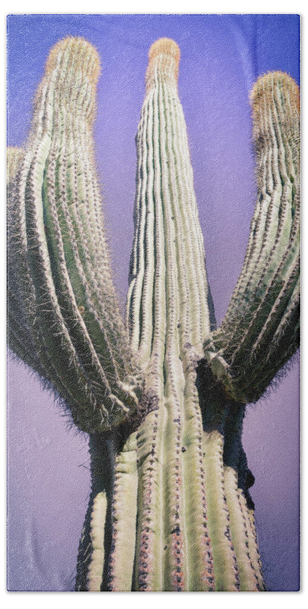 Atmospheric Bath Towel featuring the photograph Purple Sky Saguaro by Jennifer Wright
