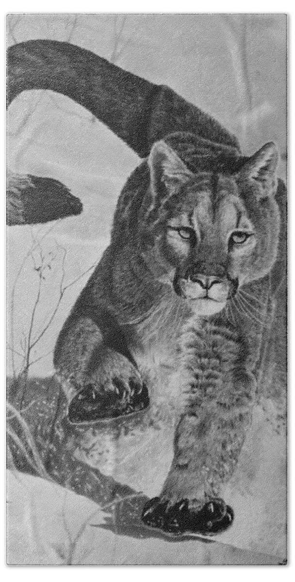 Mountain Lion Bath Towel featuring the drawing Pursuit by Greg Fox