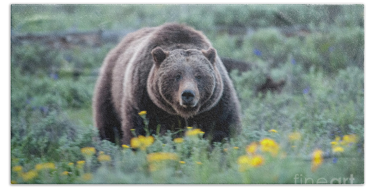 Wildlife Bath Towel featuring the photograph Queen of the Tetons - 399 by Sandra Bronstein