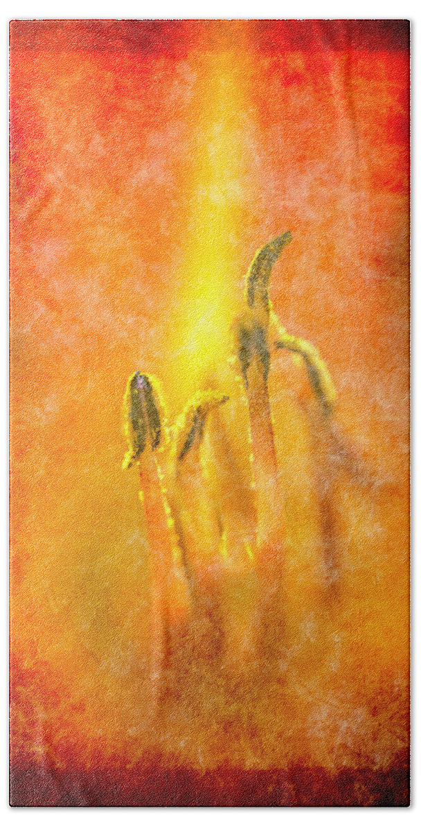 Art Bath Towel featuring the photograph Raging Fire by Norman Reid