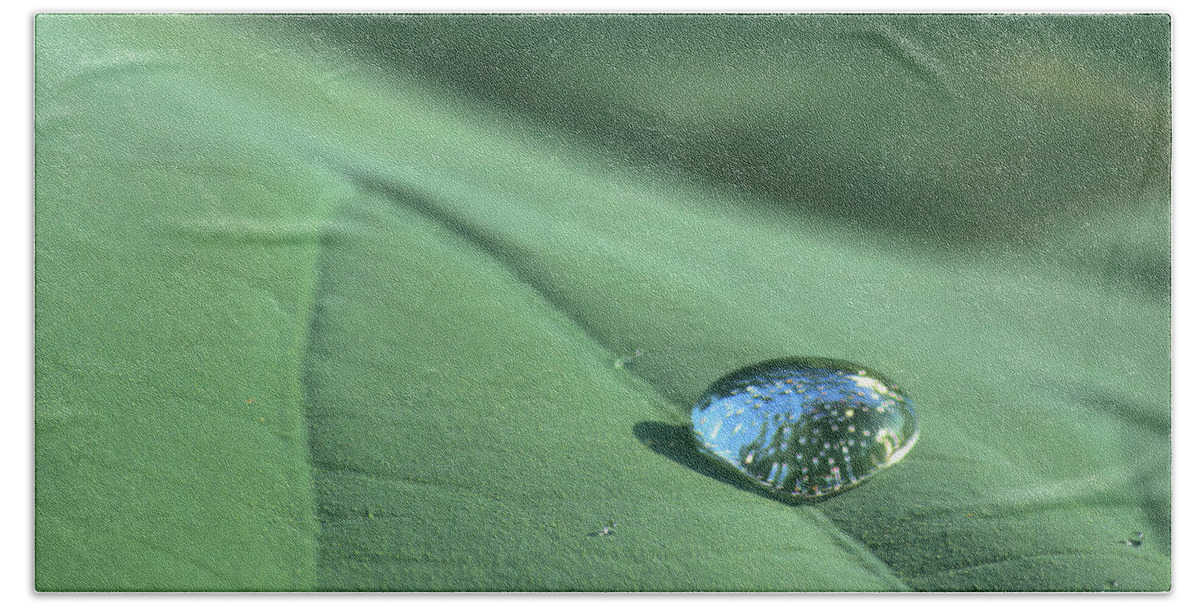Raindrop Hand Towel featuring the photograph Rain drop on Lotus leaf by Buddy Scott