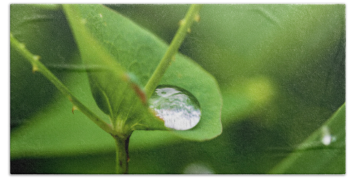 Leaf Bath Towel featuring the photograph Rain Drops On Green Leaves by Amelia Pearn