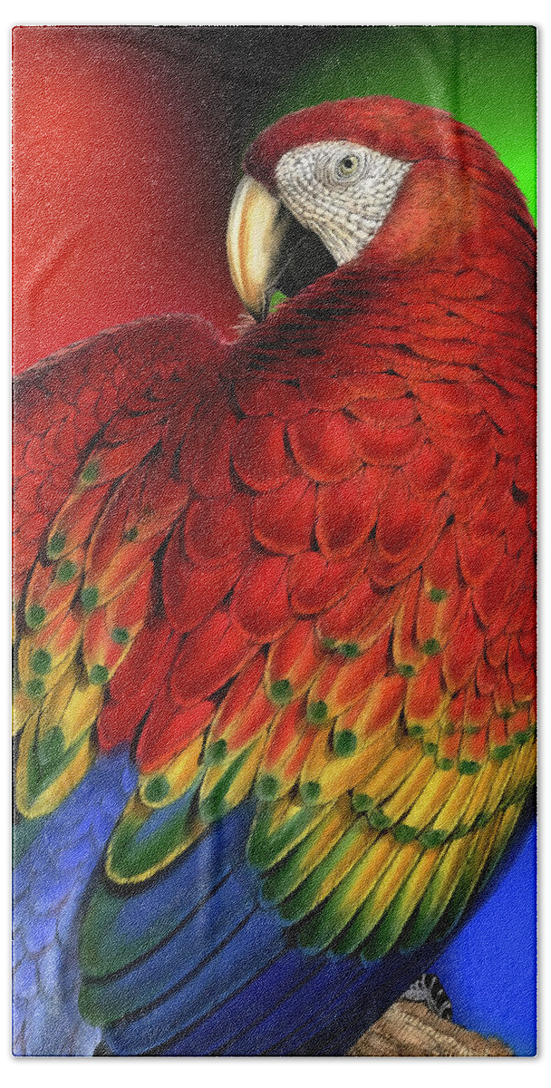 Parrot Hand Towel featuring the digital art Rainbow Macaw Parrot Pet Lover by Doreen Erhardt