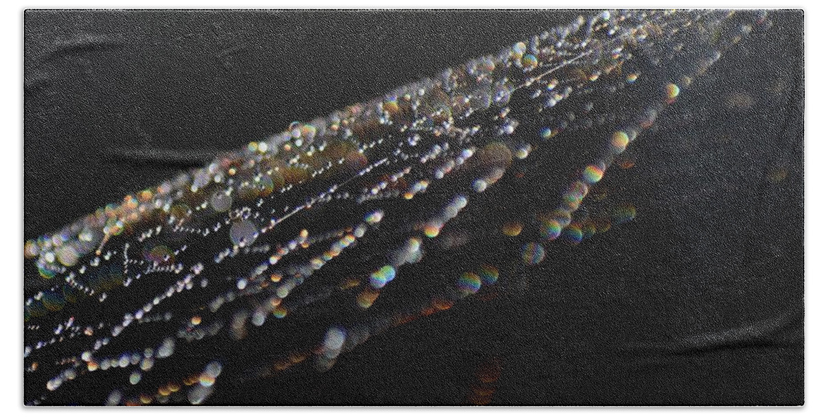 Rain Bath Towel featuring the photograph Rainbow Web by Jimmy Chuck Smith