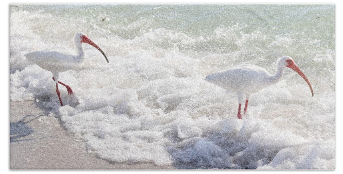 White Ibis Bath Towel featuring the photograph Rare visitors at the Beach by Mingming Jiang