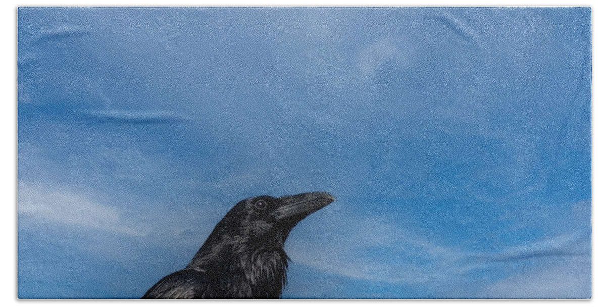 Raven Bath Towel featuring the photograph Raven Portrait by Laura Putman
